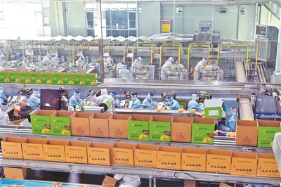 山西海玉園食品產(chǎn)業(yè)園有序生產(chǎn)，助力食品銷售穩(wěn)步增長